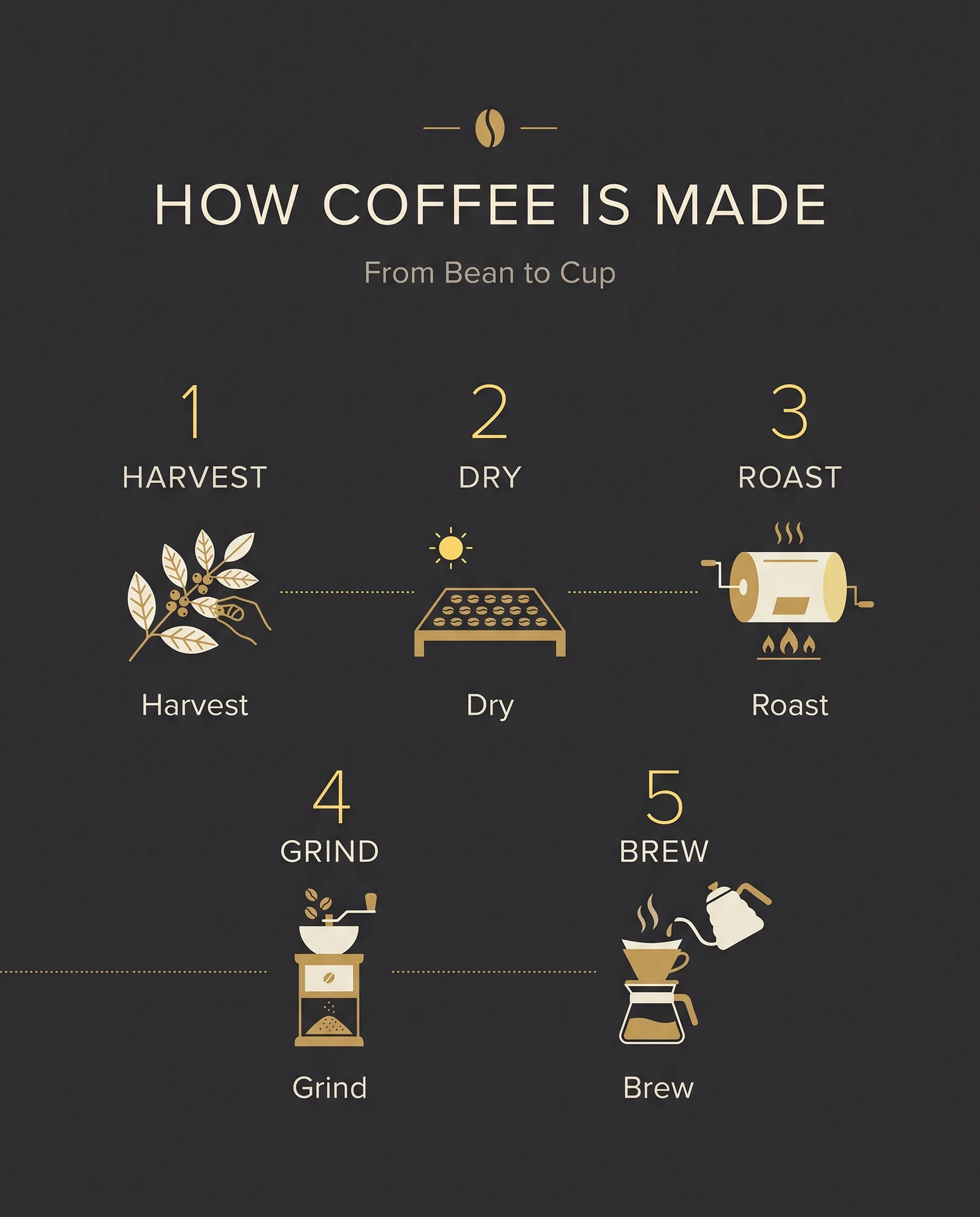 Coffee brewing infographic — Nano Banana 2.1 example